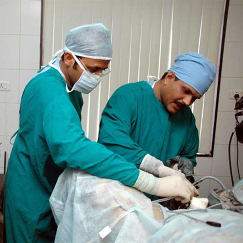 Optical-Urethrotomy